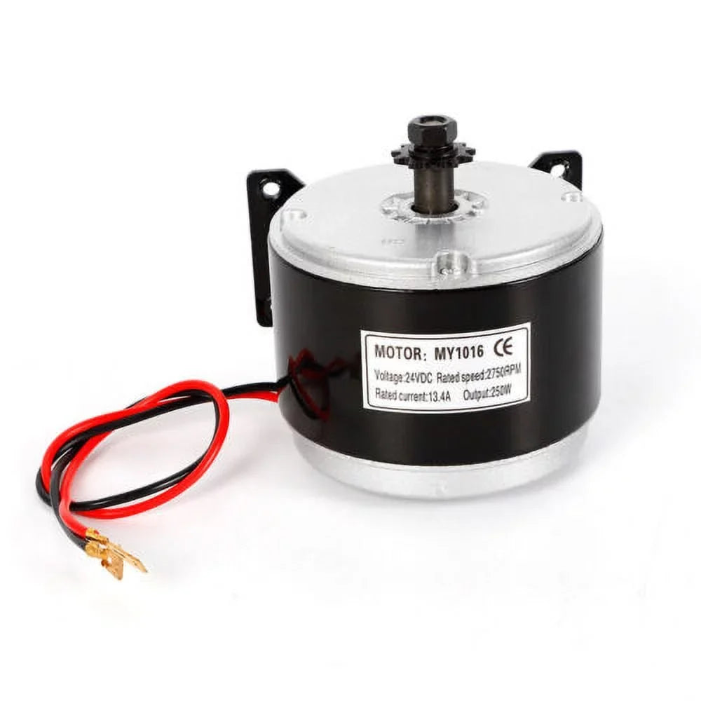 DC 24V Bike Brush 250W for Electric Permanent Magnet Brush Motor Scooter Motor
