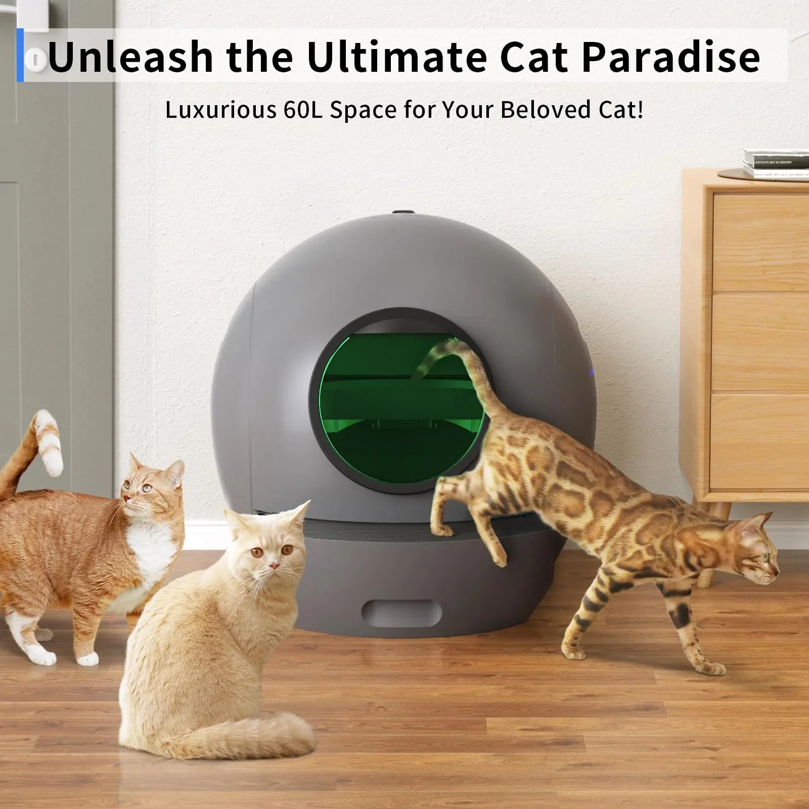 for Automatic Litter ELS Box Self Cat Box, Cats Multiple Control Litter Cleaning APP PET Cat Gift