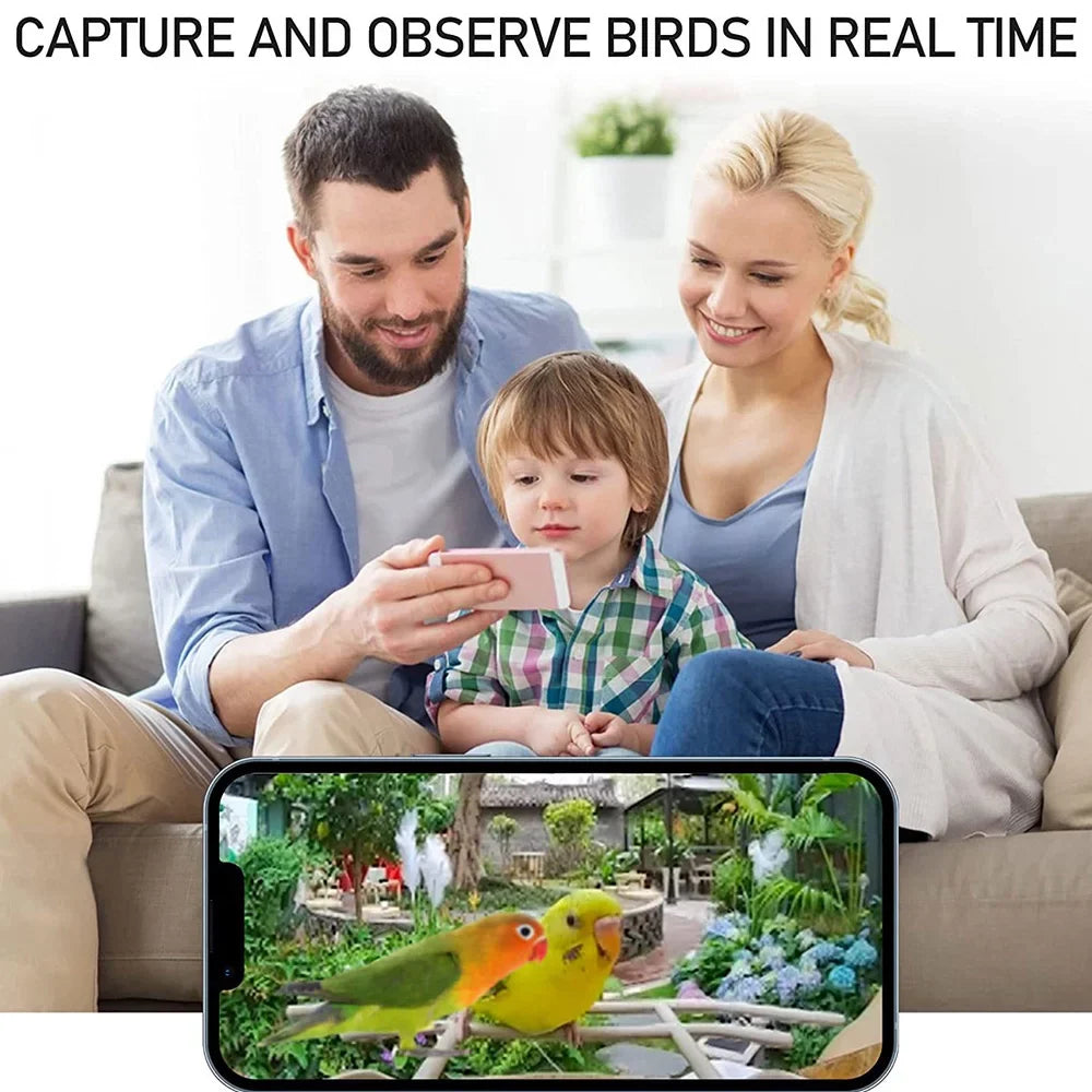 TF IP65 Identify Waterproof Bird AI Notification, Enthusiasts Capture WIFI Bird Bird Watching Real-time 1080P Auto for Species, Cards Motion 128G Feeder Video, Smart moobody Camera Detection, Bird