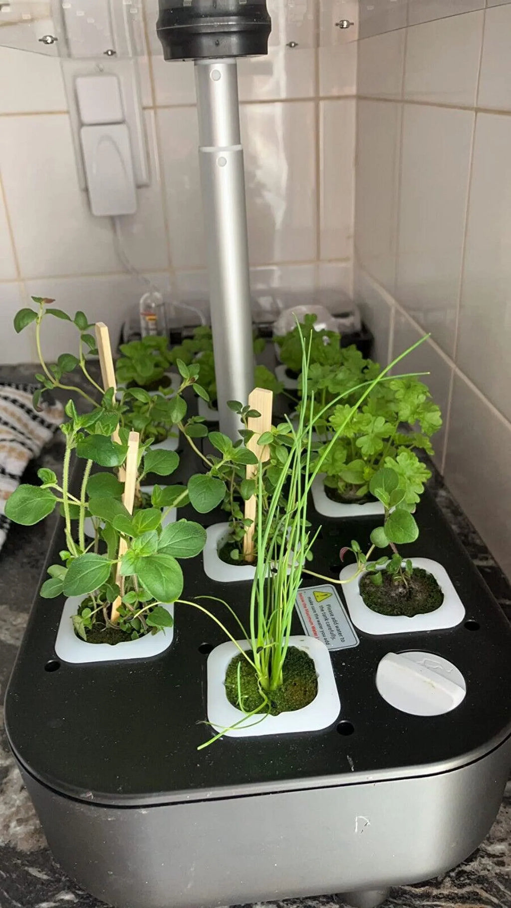 System Hydroponics Kit Germination Grow Indoor Time Garden Growing Light 36W LED