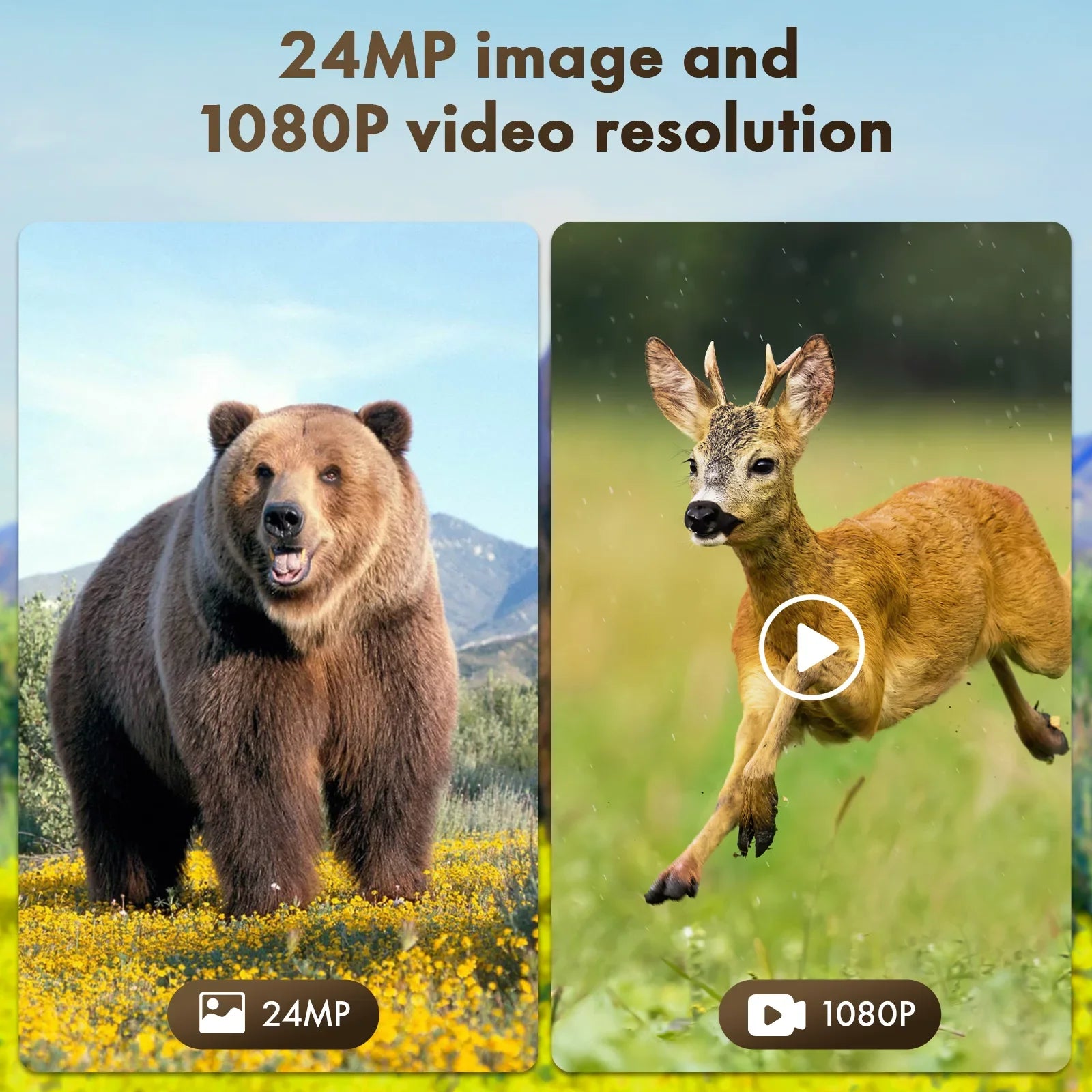 120°Wide Speed Cam Lithium Trail Built-in 0.1s Hunting Rechargeable Night 2500mAh 24MP Vision Camera Camera CAMPARK Solar Waterproof Battery Activated with Angle 1080P Trigger Motion IP66 Game