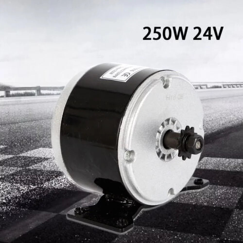 DC 24V Bike Brush 250W for Electric Permanent Magnet Brush Motor Scooter Motor