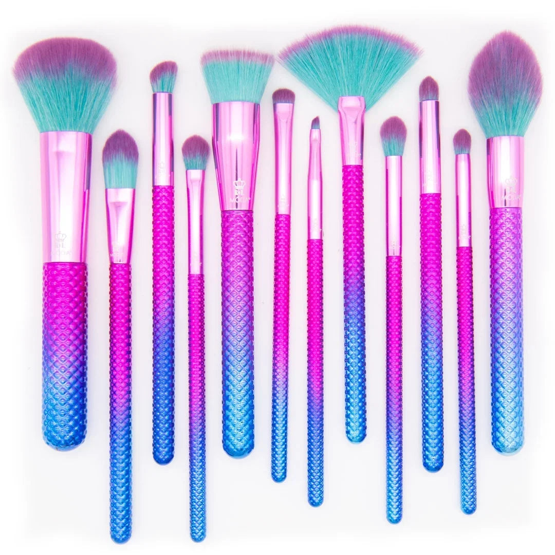 Brush Prismatic 12pc Fan, Brush Crease Foundation, Includes Makeup Signature Moda and Pointed Set, Brushes Makeup