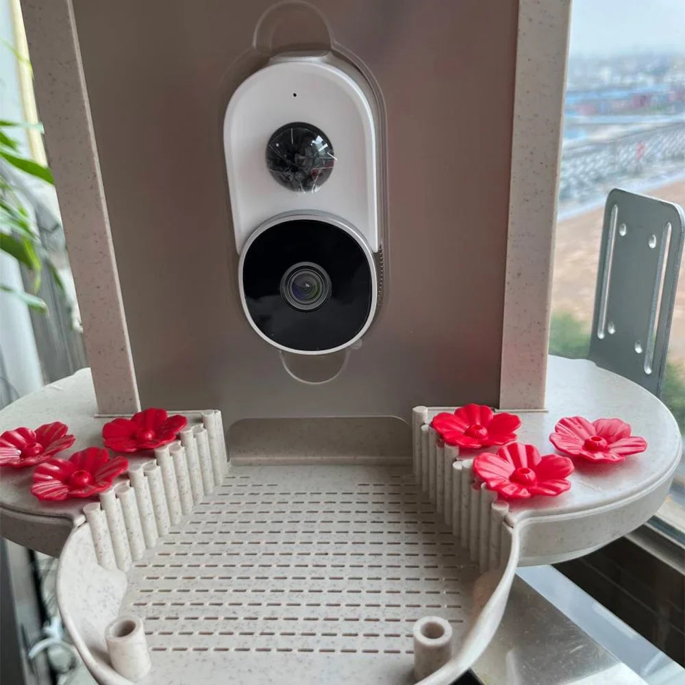 TF IP65 Identify Waterproof Bird AI Notification, Enthusiasts Capture WIFI Bird Bird Watching Real-time 1080P Auto for Species, Cards Motion 128G Feeder Video, Smart moobody Camera Detection, Bird