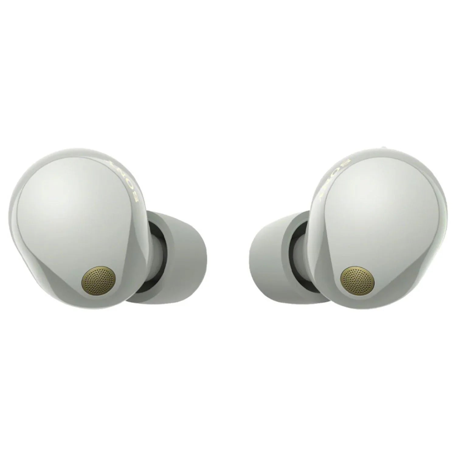 Sony Bundle Wireless Canceling Truly (Silver) Noise Earbuds WF-1000XM5
