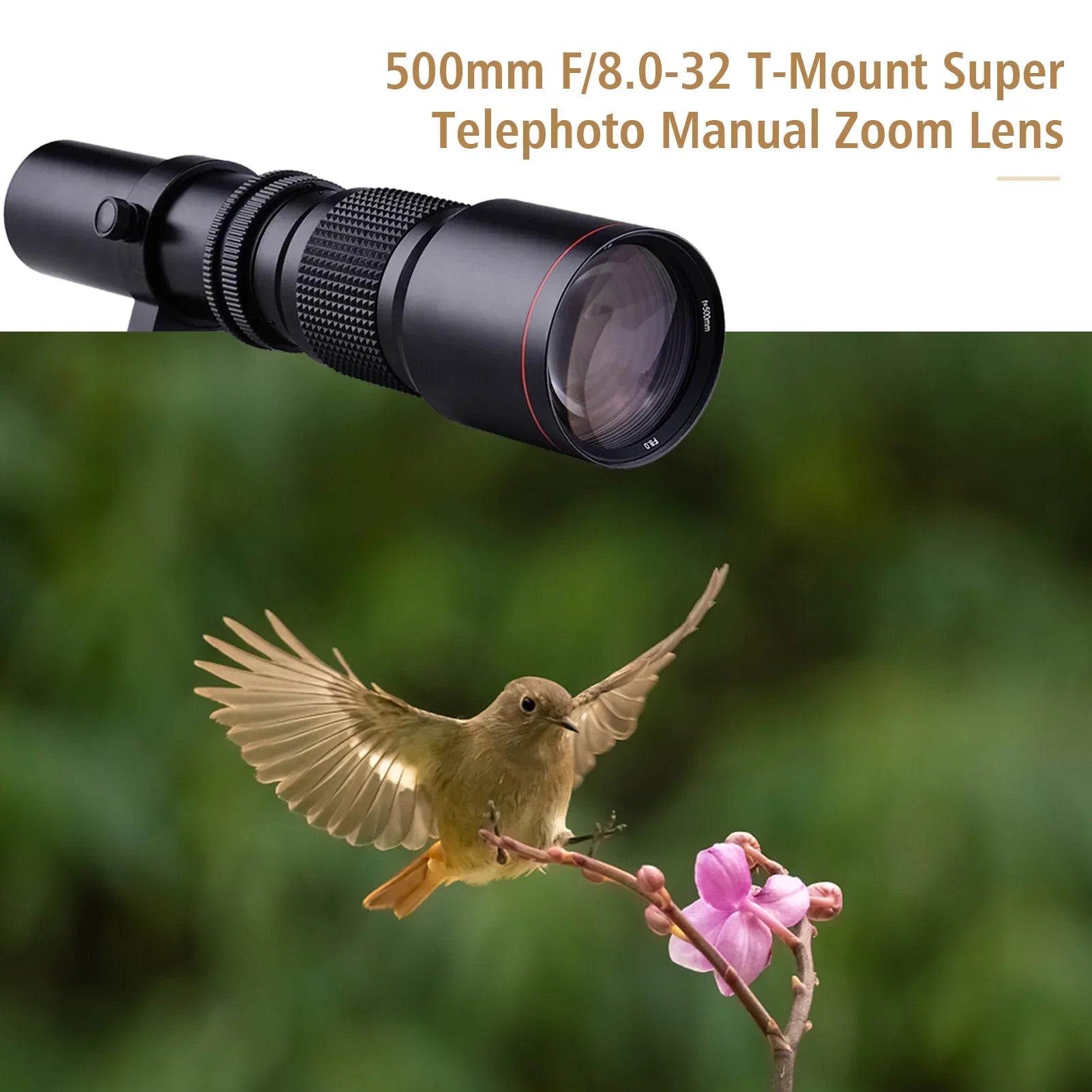 Coated Lens Ring Adapter + Aibecy F/8.0-32 A7R to Telephoto Manual Replacement NEX-6 NEX-5 Multi A5000 Cameras T-Mount 500mm NEX E-Mount Kit A7S Zoom A6500 A7 Super NEX-7 Sony for A6000 A9