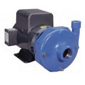 Centrifugal Discharge, Fitted 1-1/2" RPM, S, NPT 5 230/460 3656 3BF1JBA0, Phase, Goulds 3500 HP, Series Pump, Bronze Volts, 3