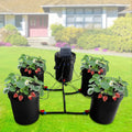 System 5 Vegetables Bucket Growing System System Hydroponic Hydroponics Kit Gardening Hydroponics for Miumaeov Gallon Growing System