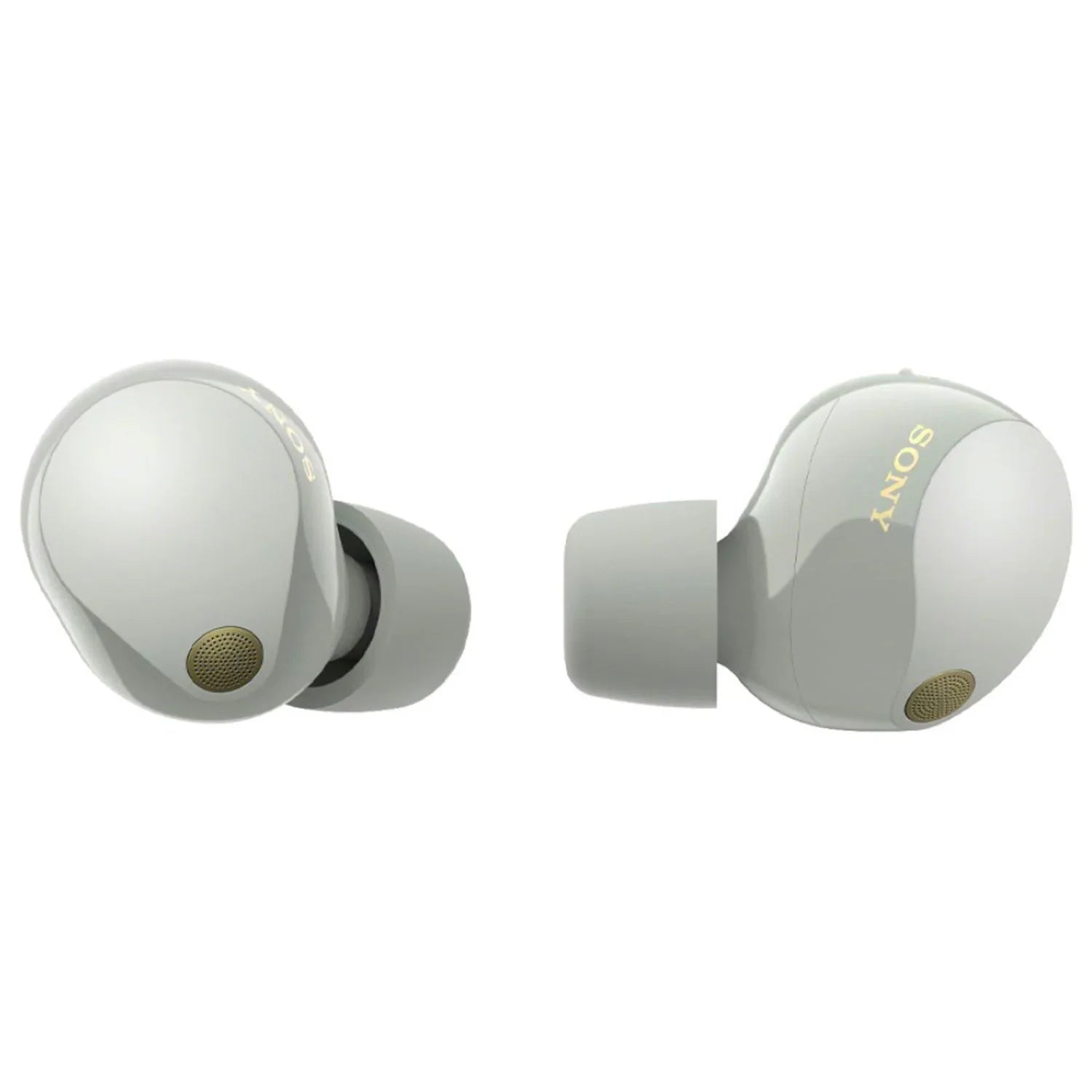 Sony Bundle Wireless Canceling Truly (Silver) Noise Earbuds WF-1000XM5