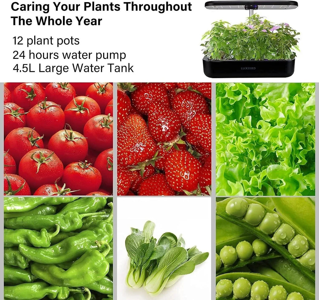 System Hydroponics Kit Germination Grow Indoor Time Garden Growing Light 36W LED