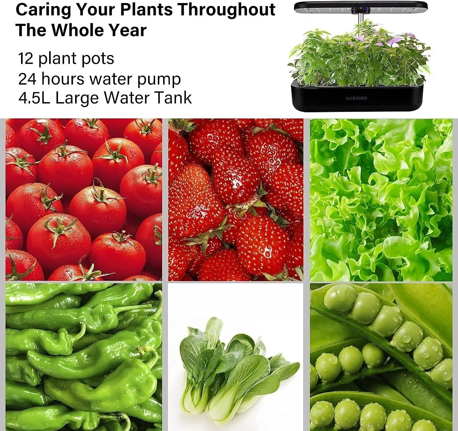 System Hydroponics Kit Germination Grow Indoor Time Garden Growing Light 36W LED