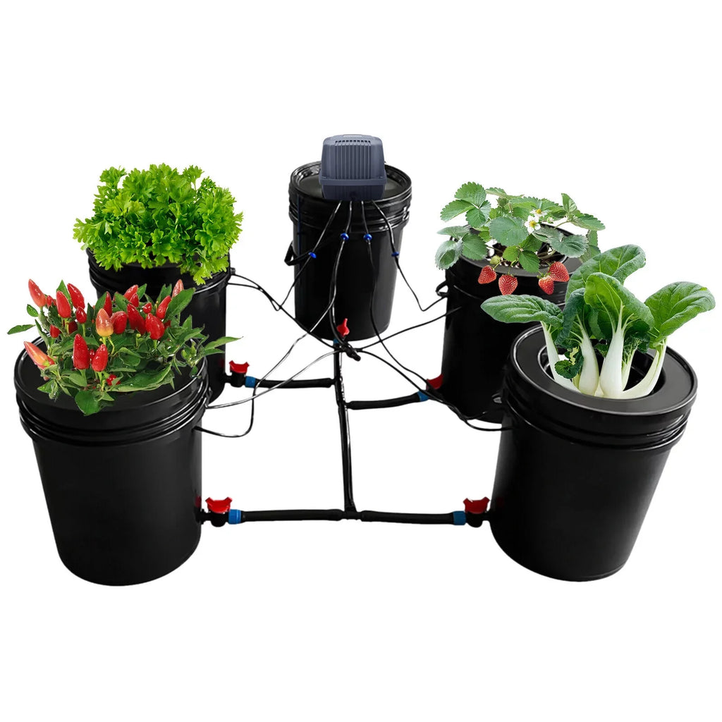 System 5 Vegetables Bucket Growing System System Hydroponic Hydroponics Kit Gardening Hydroponics for Miumaeov Gallon Growing System