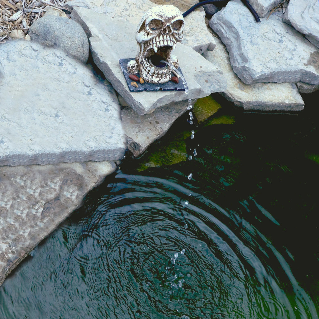 Custom Feature Decorative Skull Statuary Spitter Outdoor Fountain Water Pro