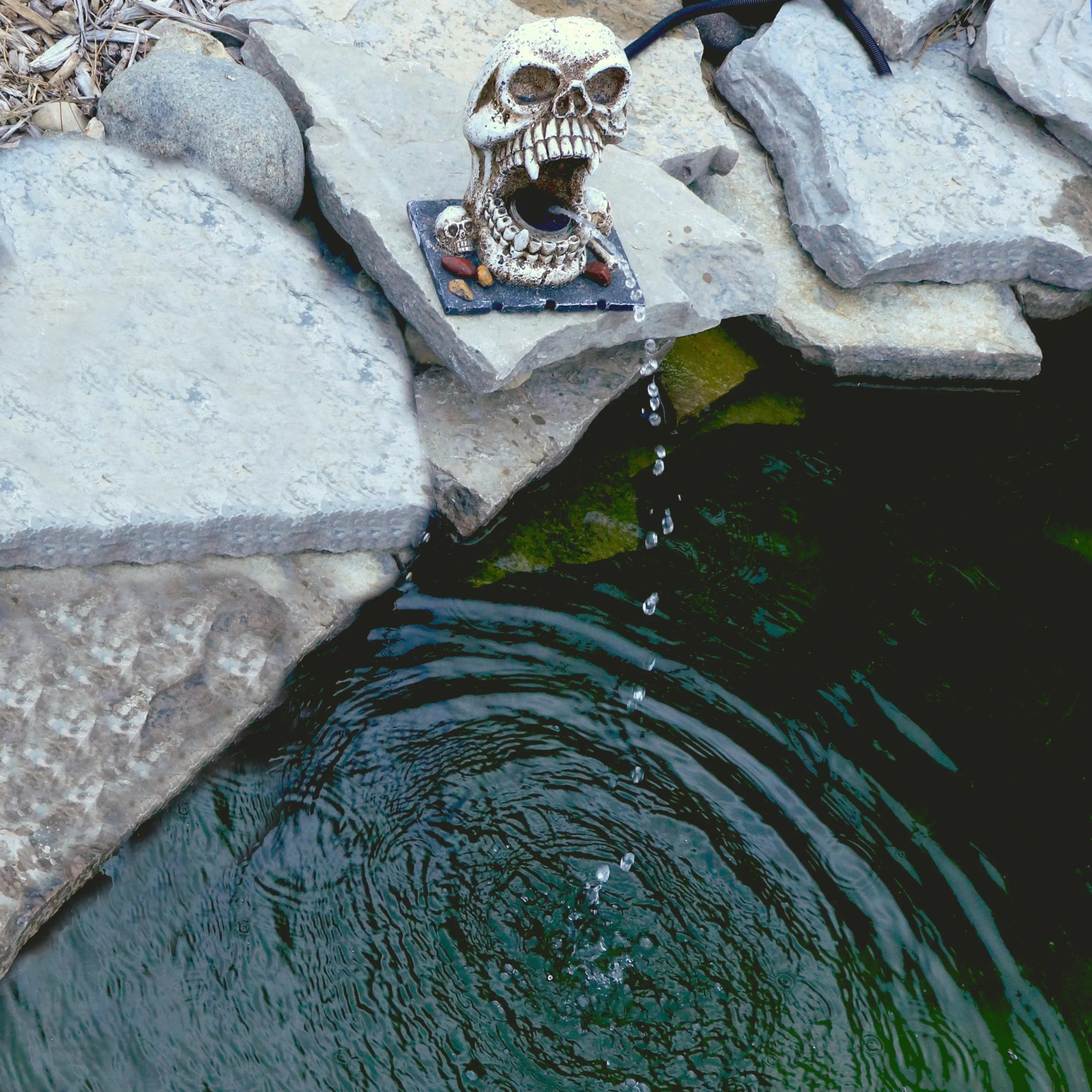Custom Feature Decorative Skull Statuary Spitter Outdoor Fountain Water Pro