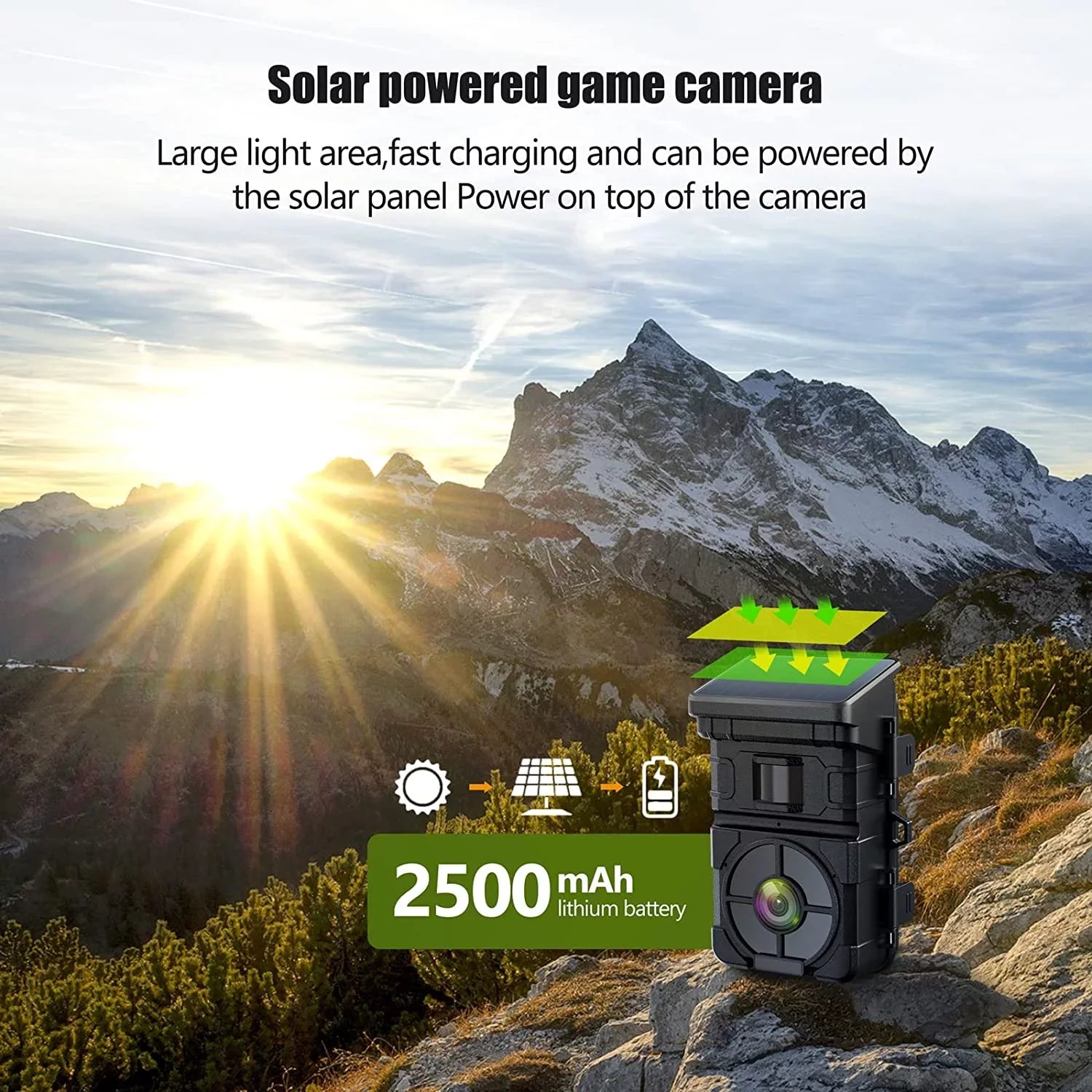 120°Wide Speed Cam Lithium Trail Built-in 0.1s Hunting Rechargeable Night 2500mAh 24MP Vision Camera Camera CAMPARK Solar Waterproof Battery Activated with Angle 1080P Trigger Motion IP66 Game