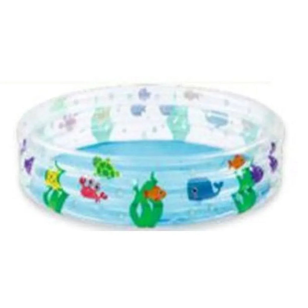 Age Pool 3-Ring for H2ogo! Dive 2+ Children Deep Clear Outdoor