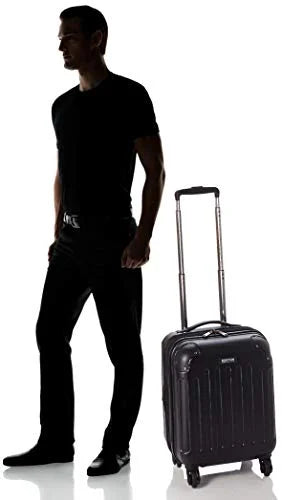 Cole Reaction Expandable Hardside Lightweight inch 8-Wheel Spinner Black, 24” Luggage, Renegade Kenneth Checked-Size