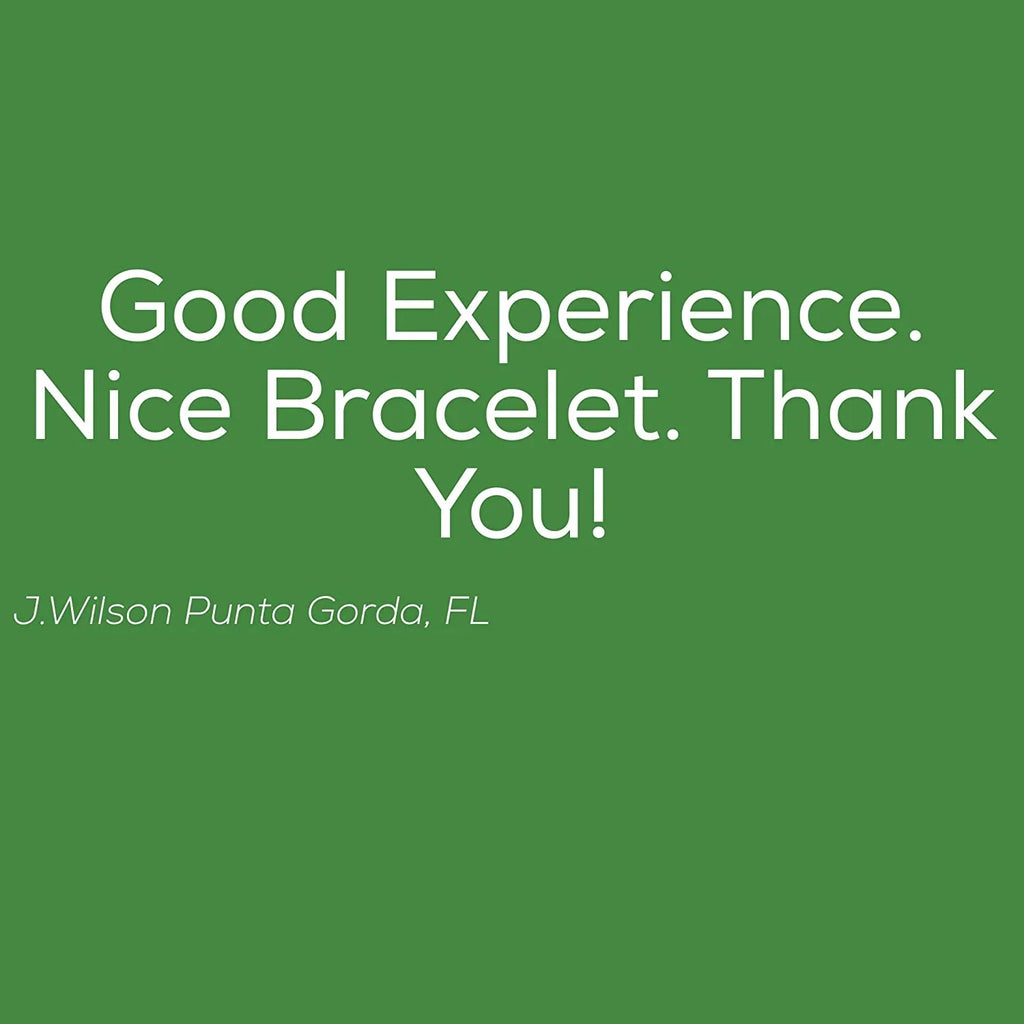 and Blue Snake Emerald Green Jewelry Bracelet VW Vehicle Charm Park Chain Bus
