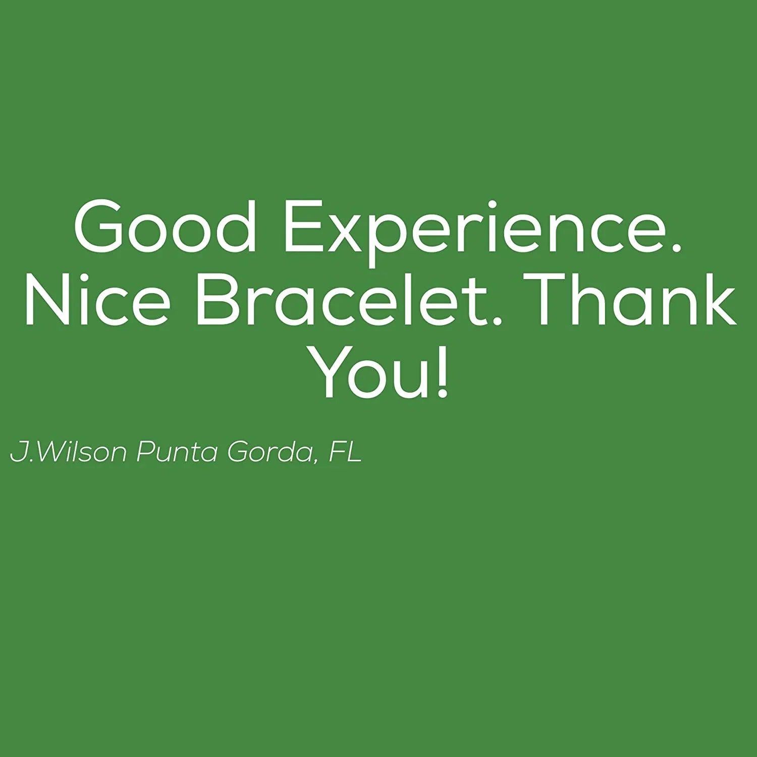 and Blue Snake Emerald Green Jewelry Bracelet VW Vehicle Charm Park Chain Bus