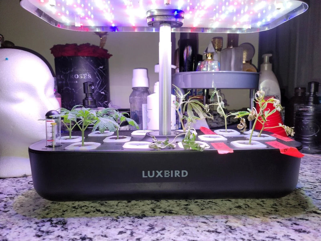 System Hydroponics Kit Germination Grow Indoor Time Garden Growing Light 36W LED