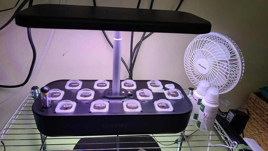 System Hydroponics Kit Germination Grow Indoor Time Garden Growing Light 36W LED