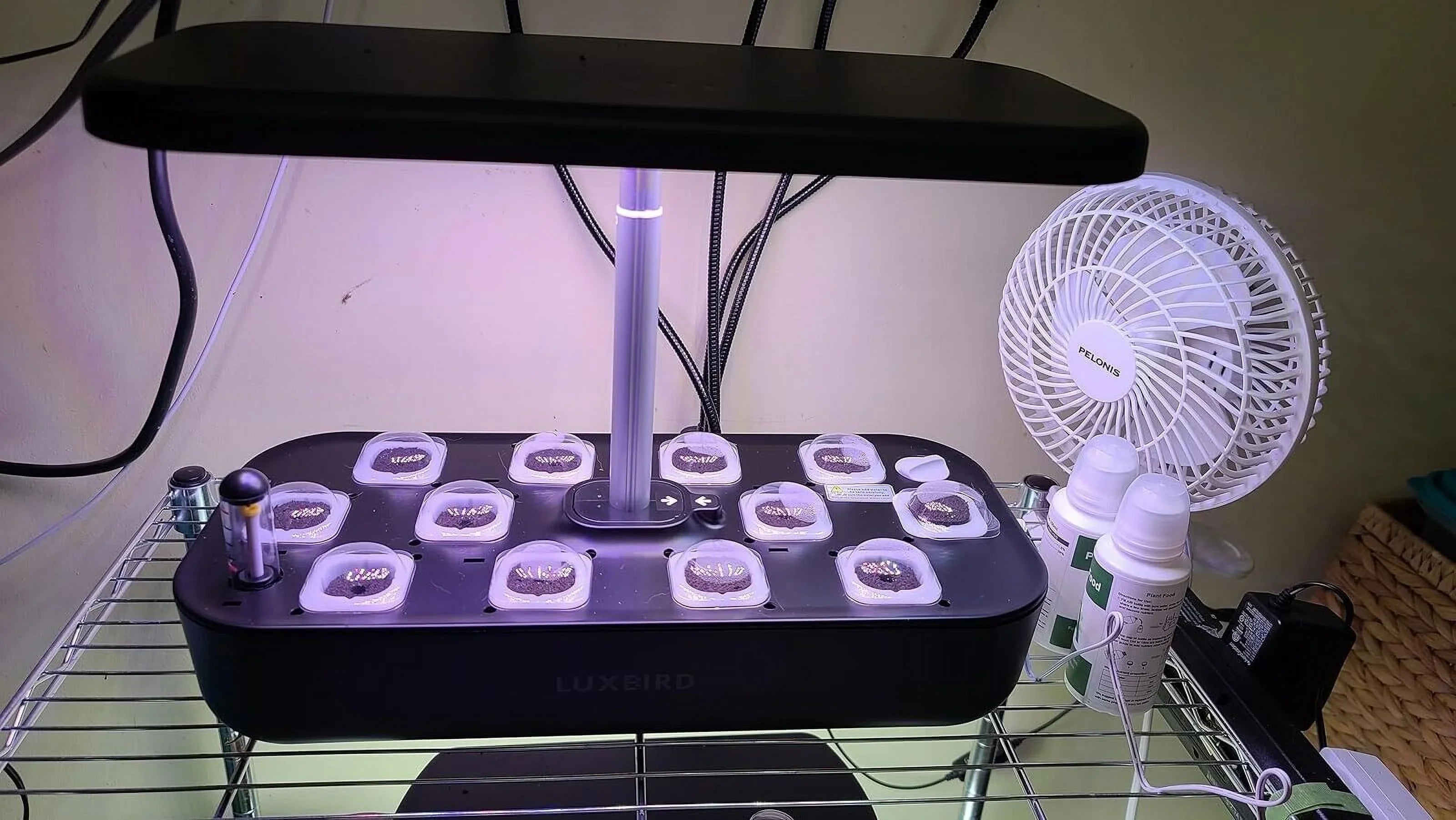 System Hydroponics Kit Germination Grow Indoor Time Garden Growing Light 36W LED