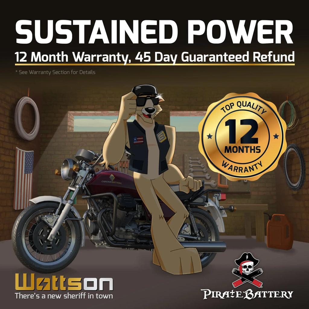 12 Battery Jet Battery YTX16L-BS Ski 230 (16L-BS 1996 Pirate Kawasaki Volt,14 for Ts Jf650 Ah, CCA)