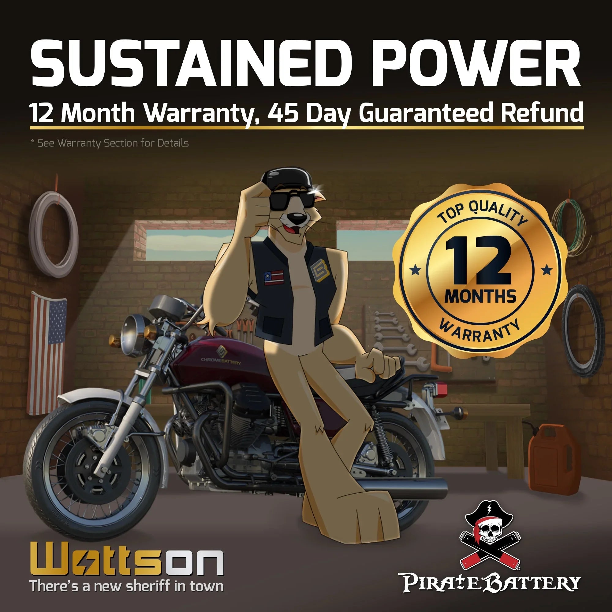 12 Battery Jet Battery YTX16L-BS Ski 230 (16L-BS 1996 Pirate Kawasaki Volt,14 for Ts Jf650 Ah, CCA)