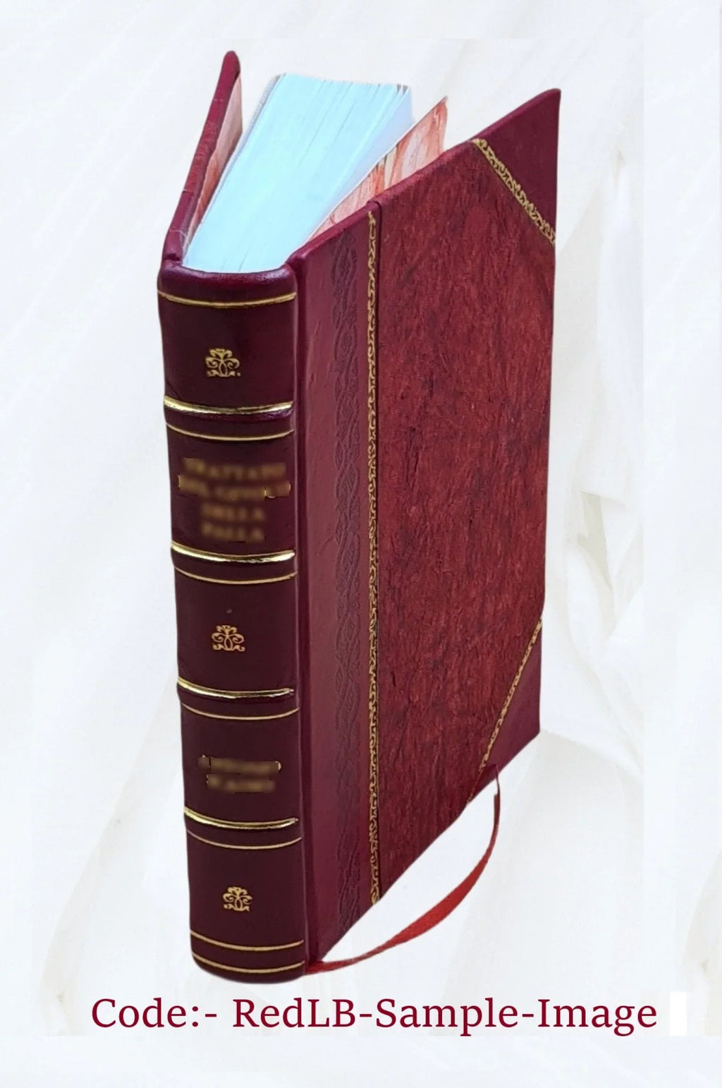 1891 Gray Bound] by Through [pseud.] Malham, Johnnie Goole [Leather Airedale from to