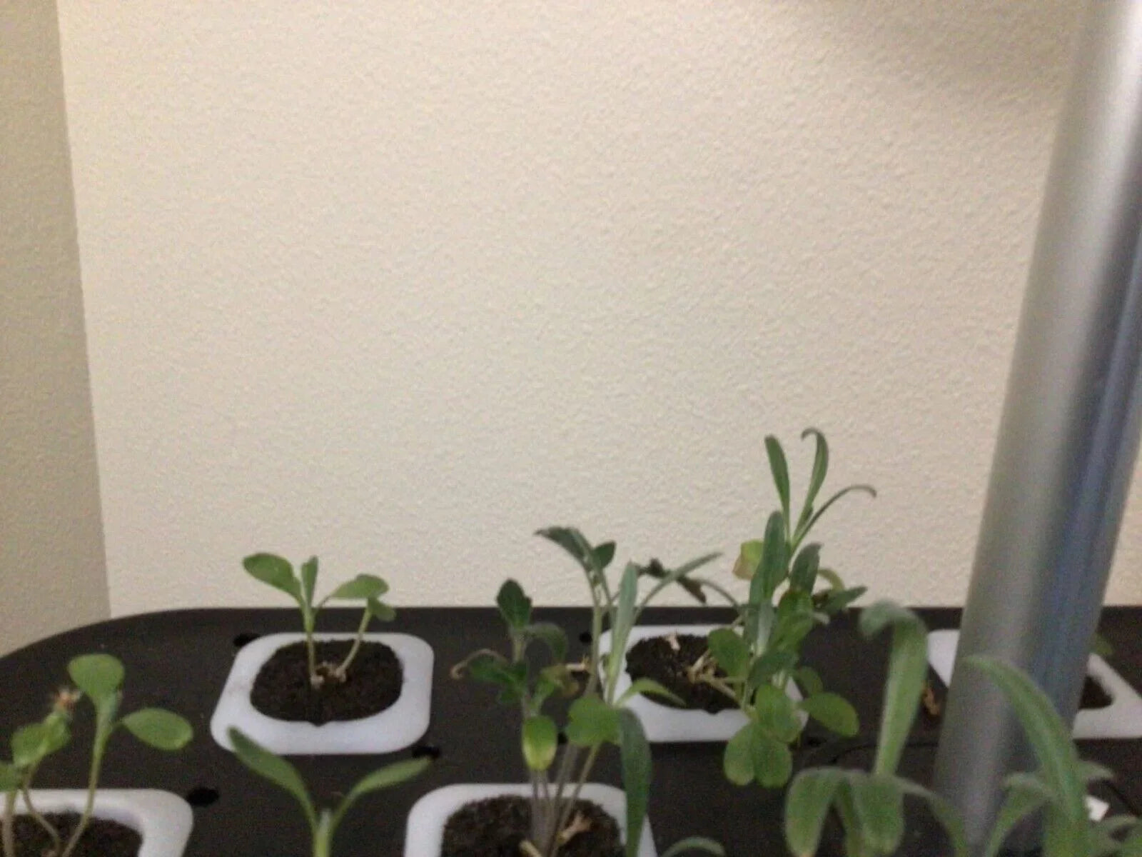 System Hydroponics Kit Germination Grow Indoor Time Garden Growing Light 36W LED