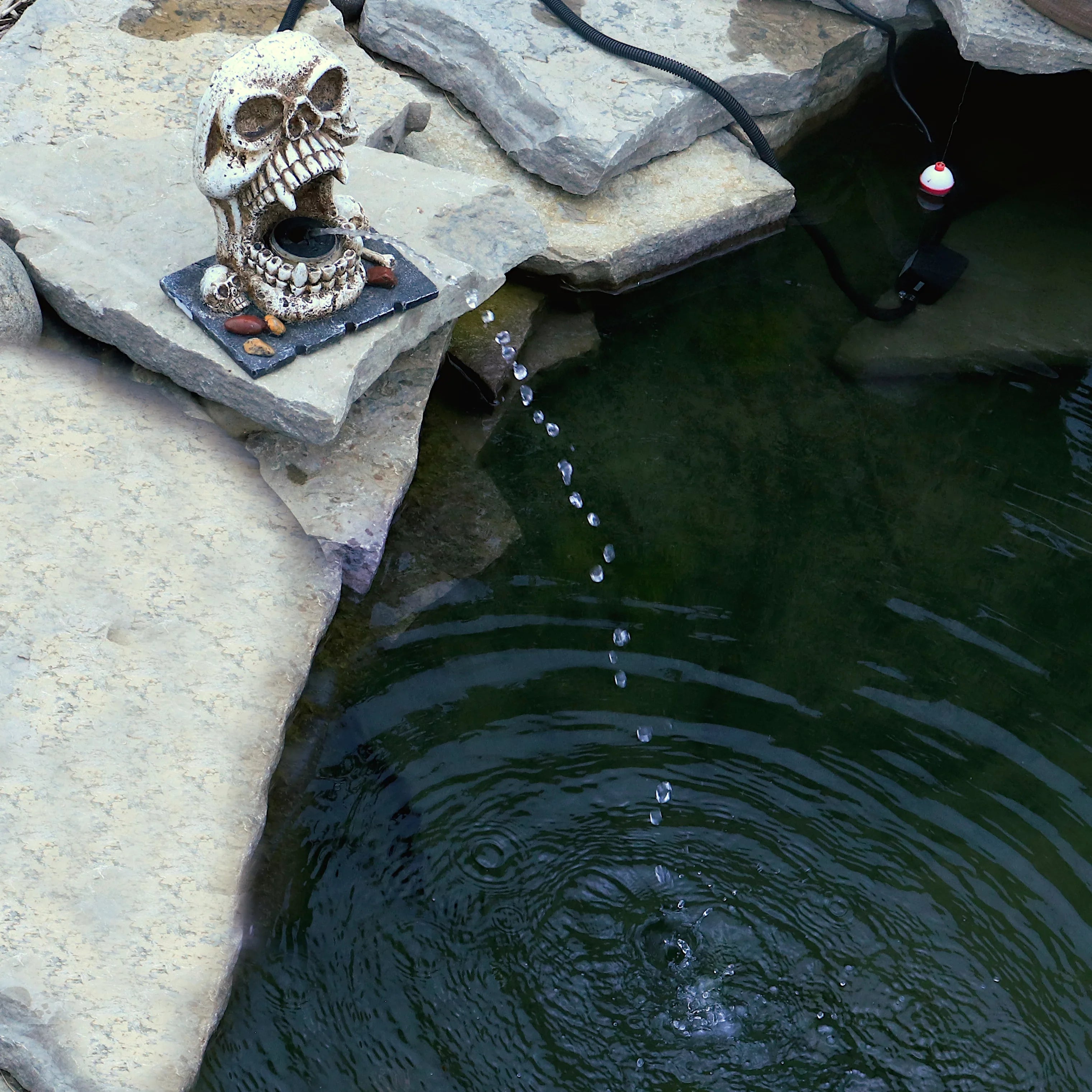 Custom Feature Decorative Skull Statuary Spitter Outdoor Fountain Water Pro