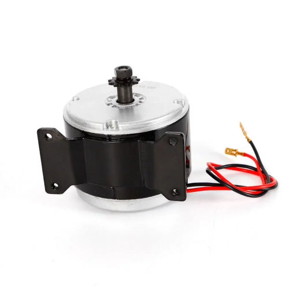 DC 24V Bike Brush 250W for Electric Permanent Magnet Brush Motor Scooter Motor