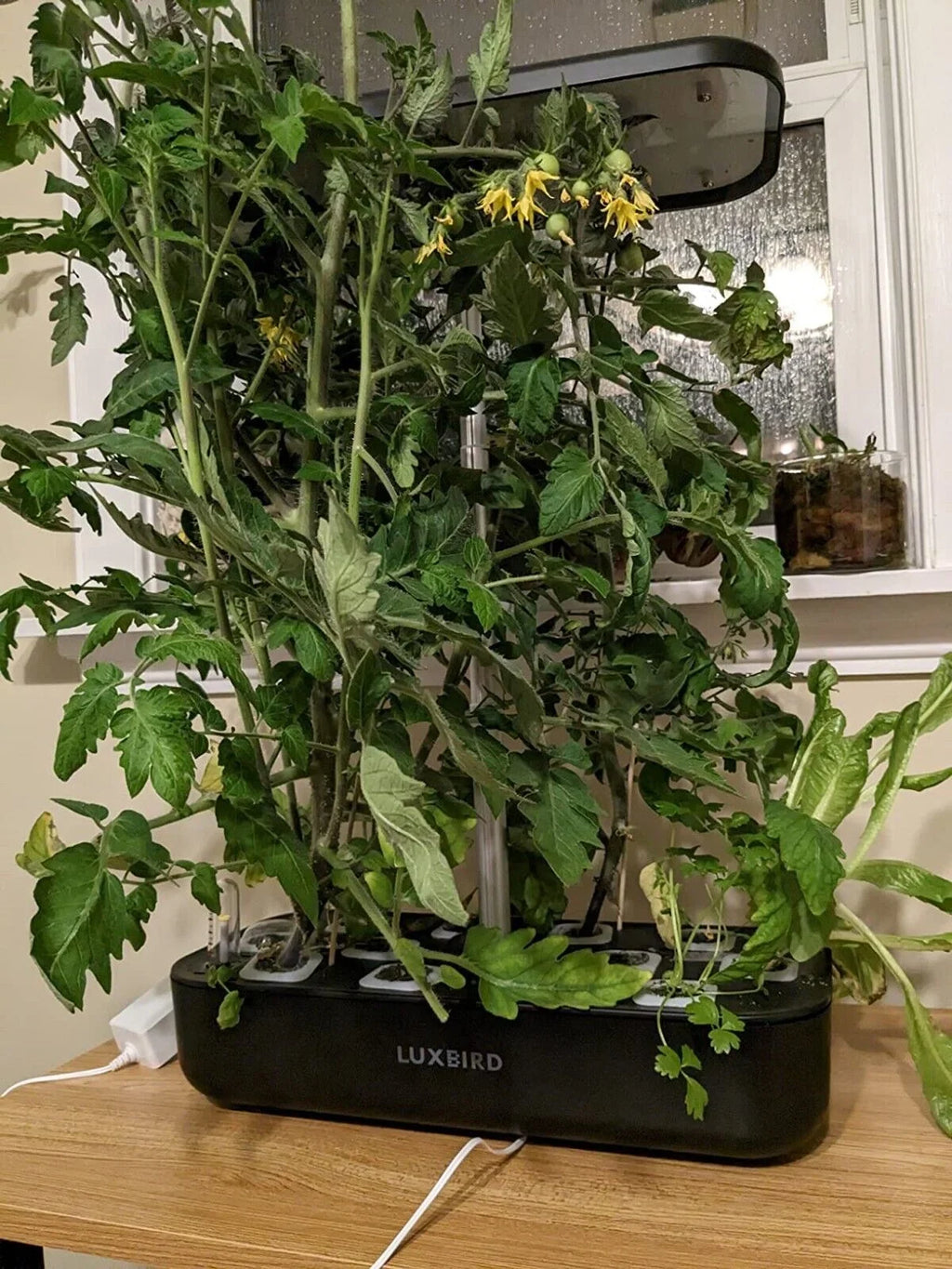 System Hydroponics Kit Germination Grow Indoor Time Garden Growing Light 36W LED