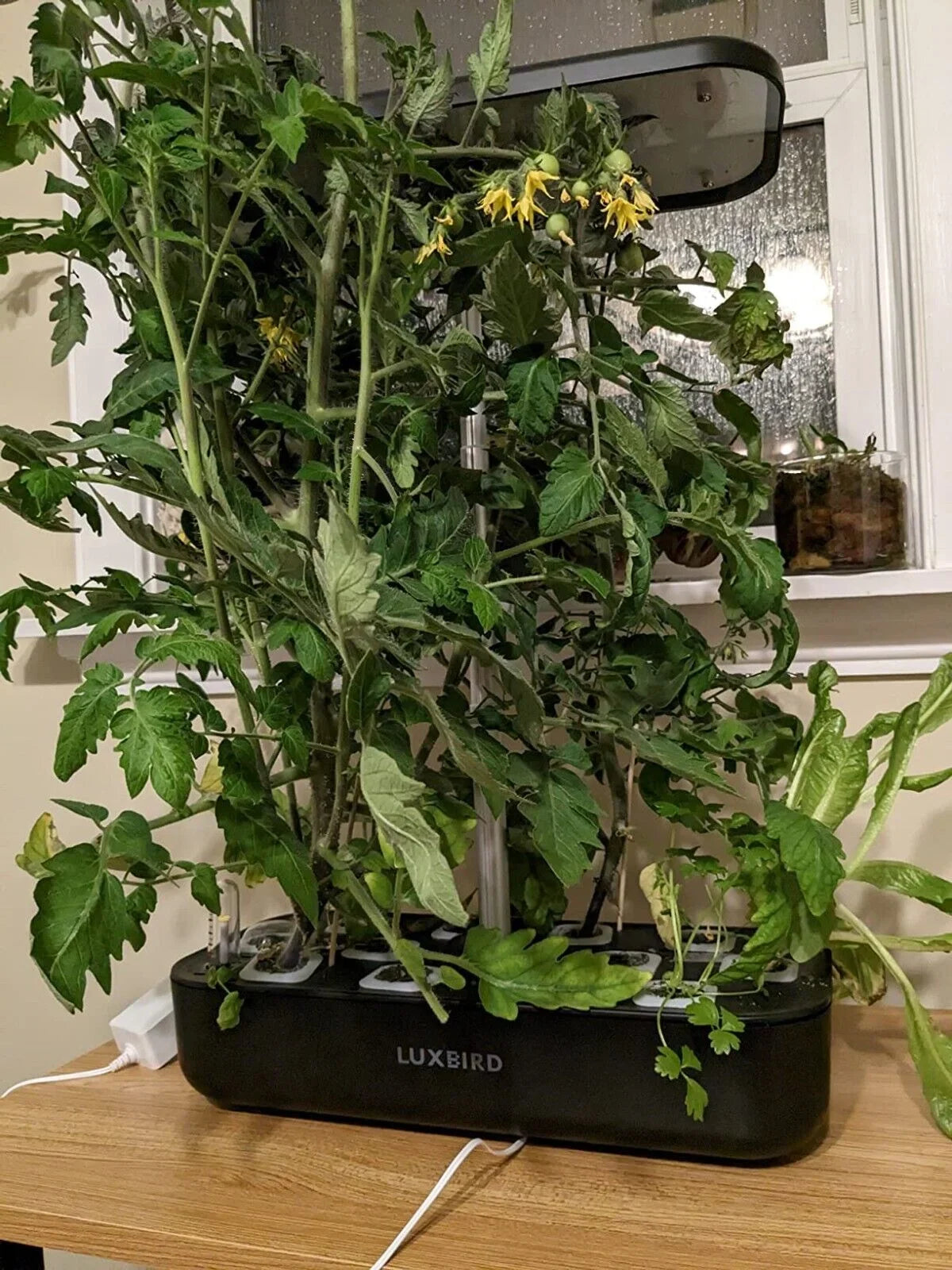 System Hydroponics Kit Germination Grow Indoor Time Garden Growing Light 36W LED
