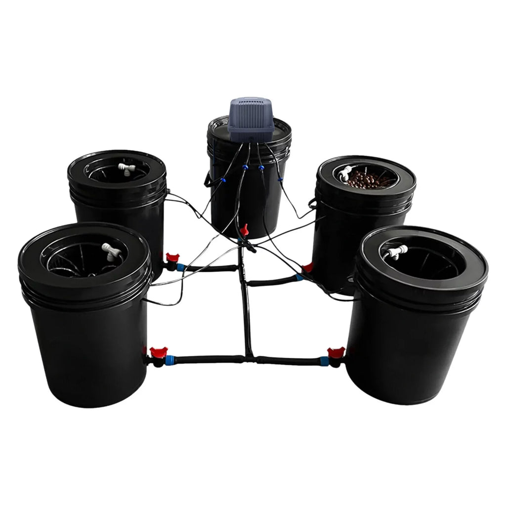 System 5 Vegetables Bucket Growing System System Hydroponic Hydroponics Kit Gardening Hydroponics for Miumaeov Gallon Growing System