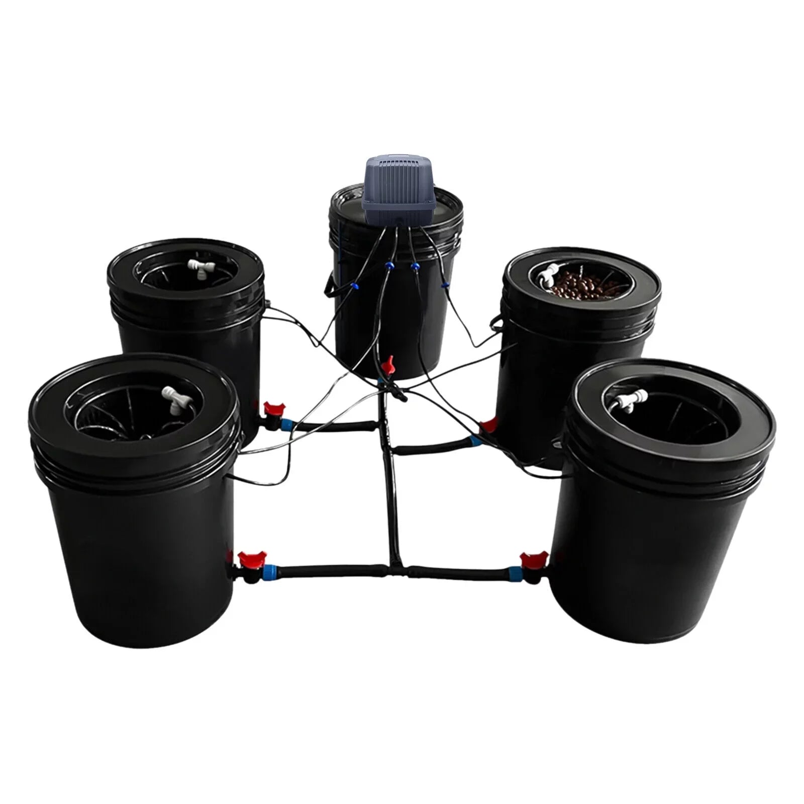 System 5 Vegetables Bucket Growing System System Hydroponic Hydroponics Kit Gardening Hydroponics for Miumaeov Gallon Growing System