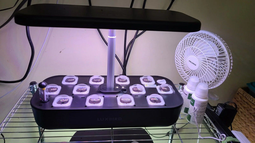 System Hydroponics Kit Germination Grow Indoor Time Garden Growing Light 36W LED
