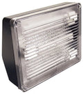 '- Black Pl 13W Ws40 Elco Fluorescent Floodlight Compact