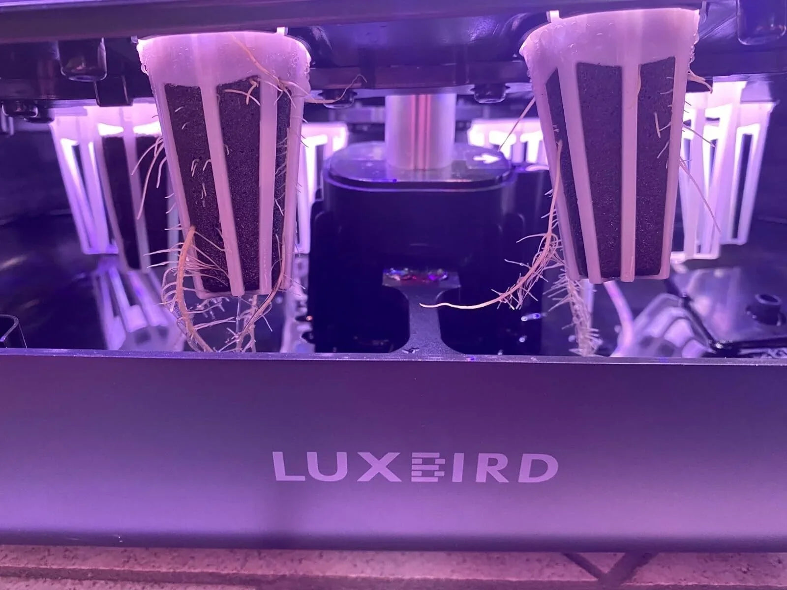 System Hydroponics Kit Germination Grow Indoor Time Garden Growing Light 36W LED