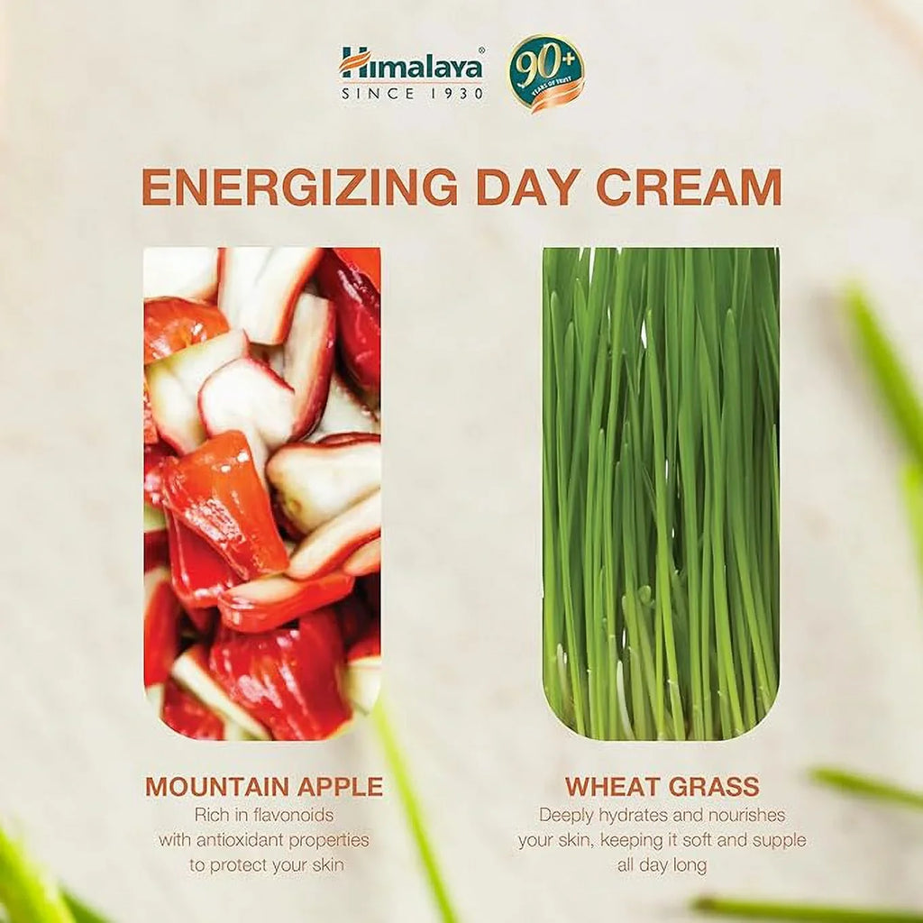 Day Himalaya Cream Energizing 50g