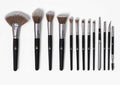 Set Pro Studio NOPLUS of BH Cosmetics 13ps Brush