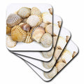 the Shore Shells 8 Sea Beach Summer Soft Coasters, - of - 3dRose Theme by set Sea -