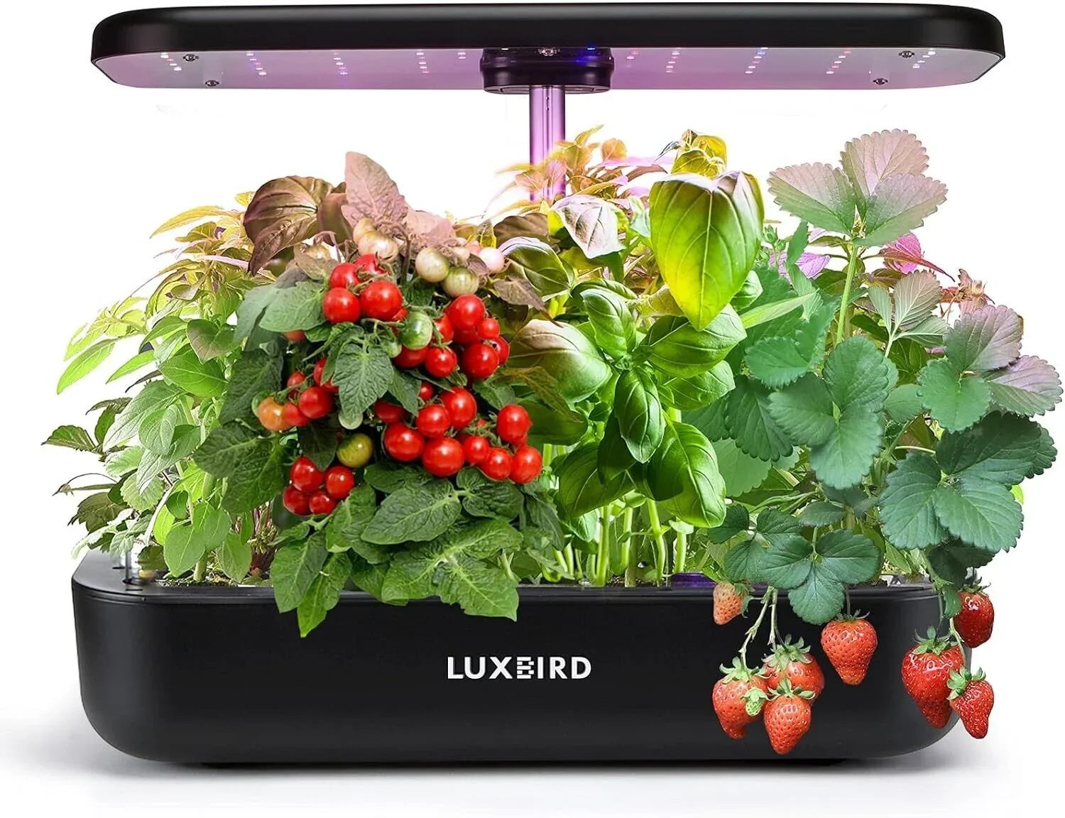 System Hydroponics Kit Germination Grow Indoor Time Garden Growing Light 36W LED