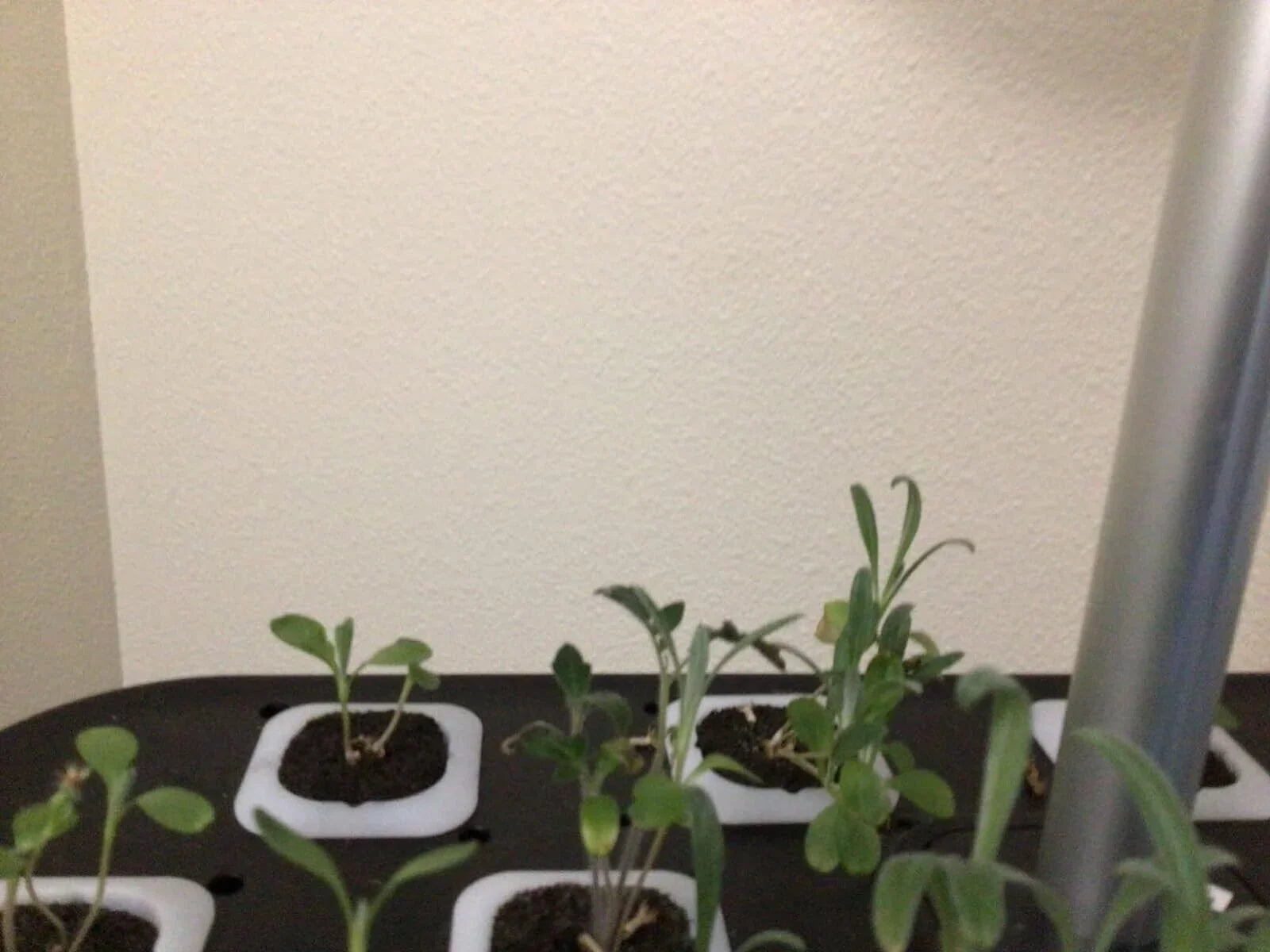 System Hydroponics Kit Germination Grow Indoor Time Garden Growing Light 36W LED